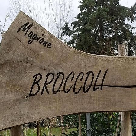 Magione Broccoli Bed & Breakfast Candelara Exterior photo